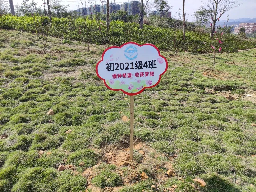 1682328155943907.jpg
