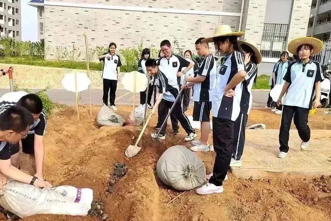 1684419328860461.jpg