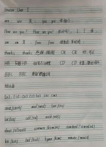 新生朝气露头角 勤勉向上有成效——百色市百东实验初级中学新初一假期衔接学习成果展示